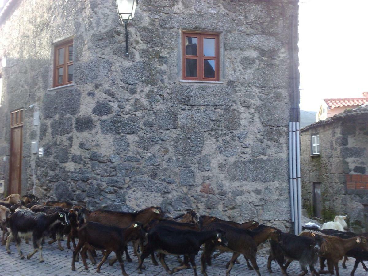 הוילה סאבוגיירו Casa Do Mocho מראה חיצוני תמונה
